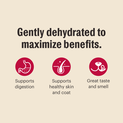 Wholemade Grain Free Turkey