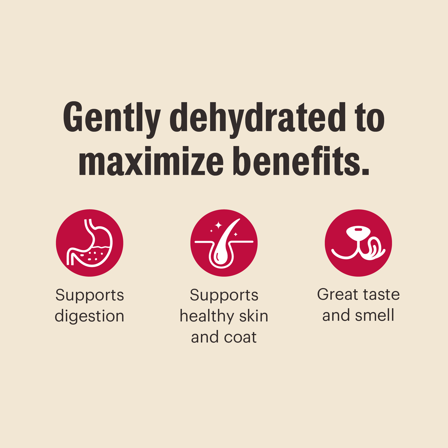 Wholemade Grain Free Fruit & Veggie Base Mix